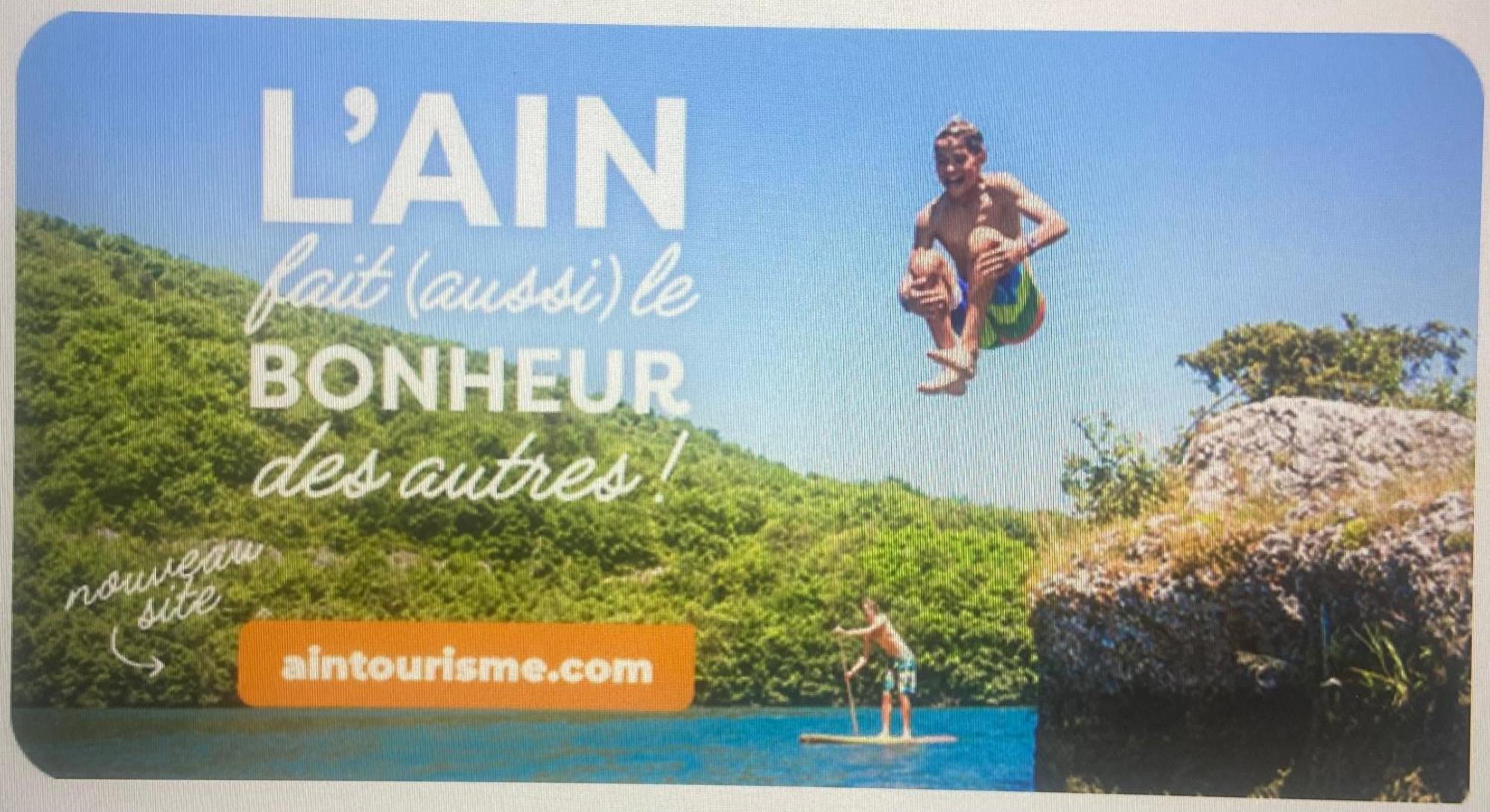 Au Chateau Saint Blaise Virignin Exterior foto